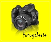 Fotogalerie