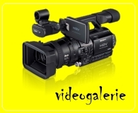 Videogalerie